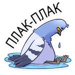 Голубь Михаил :: @stickroom