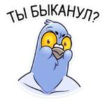 Голубь Михаил :: @stickroom