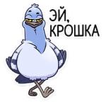 Голубь Михаил :: @stickroom