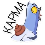 Голубь Михаил :: @stickroom