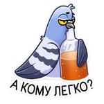 Голубь Михаил :: @stickroom