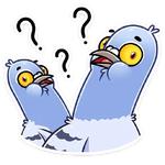 Голубь Михаил :: @stickroom