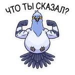 Голубь Михаил :: @stickroom