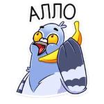 Голубь Михаил :: @stickroom