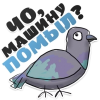 Голубь мира