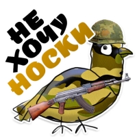 Голубь мира