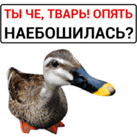 Злая утка