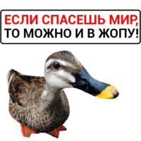 Злая утка