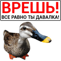 Злая утка