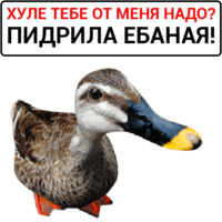 Злая утка