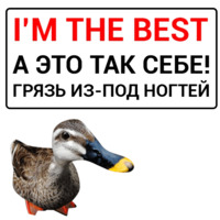 Злая утка