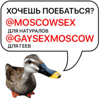 Злая утка