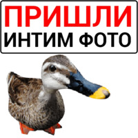 Злая утка