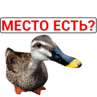 Злая утка