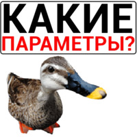 Злая утка