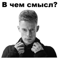 Юрий Дудь