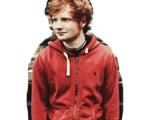 Ed Sheeran my love