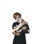 Ed Sheeran my love