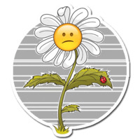 Эмоциональная Ромашка