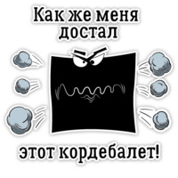 Музей Эрарта