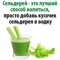 Факты о Сельдерее