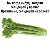 Факты о Сельдерее