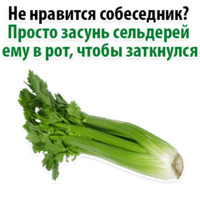 Факты о Сельдерее