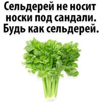 Факты о Сельдерее