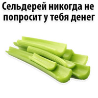 Факты о Сельдерее