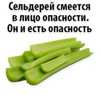 Факты о Сельдерее