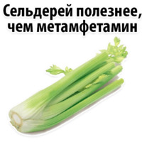 Факты о Сельдерее