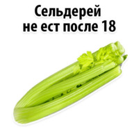 Факты о Сельдерее