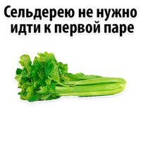 Факты о Сельдерее