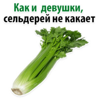 Факты о Сельдерее