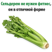 Факты о Сельдерее