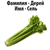 Факты о Сельдерее