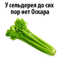 Факты о Сельдерее