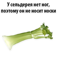 Факты о Сельдерее