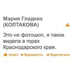 дноклассники