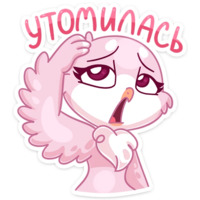 Фин и Фенечка