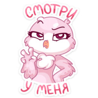 Фин и Фенечка