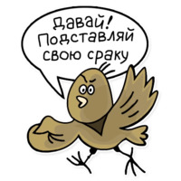 Профессор Фортран