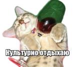 40 кошек