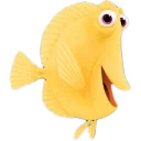 Finding Nemo