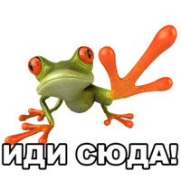 Лягушка