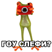 Лягушка