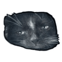 Всратые коты