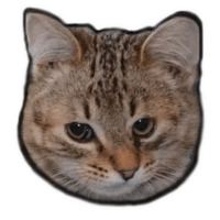 Всратые коты