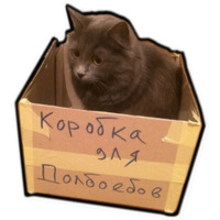 Всратые коты