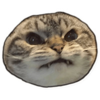 Всратые коты